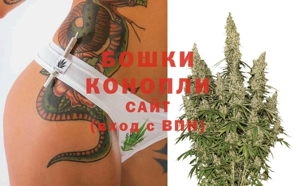 сатива Алексеевка