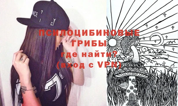 дмт Алексин