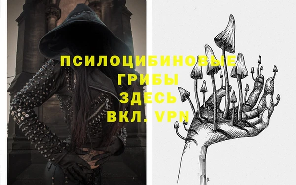гашик Алзамай