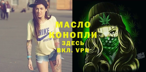 дмт Алексин
