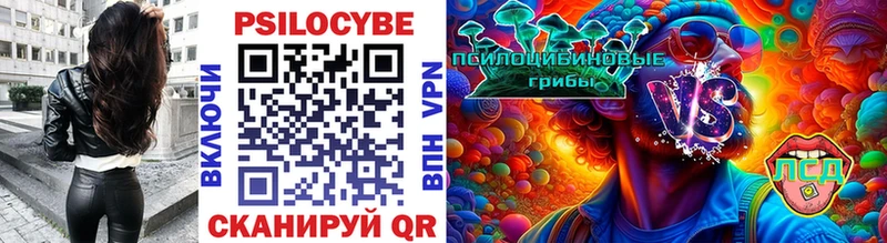 Псилоцибиновые грибы Psilocybine cubensis Сенгилей